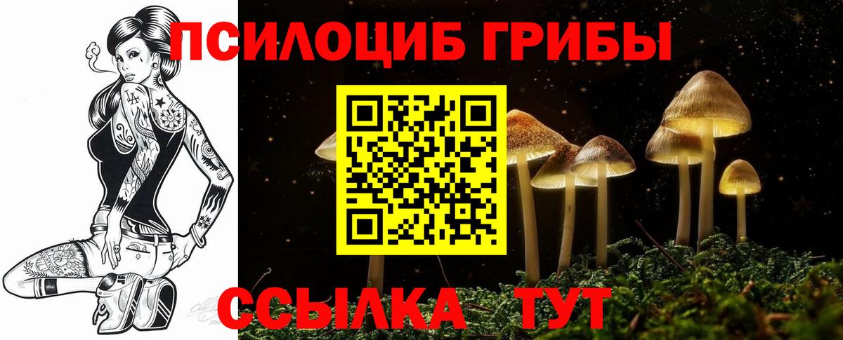 Елабуга  Галлюциногенные грибы Psilocybine cubensis  купить наркоту  Вход с VPN 